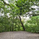 아잘리아그린 이미지