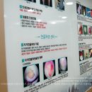 선한목자병원 이미지