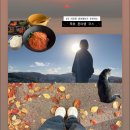 스테이 무코 | 바다처럼 흘러가는_묵호