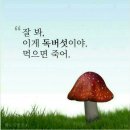 상상수학학원 - 화성시 동탄중앙로 68 | 상상수학학원
