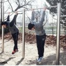 마른 익사 / 에틸카바메이트 / 형사공공변호인 제도 / 스트리트 워크아웃(Street Workout) / 앙마르슈 이미지