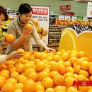 오렌지 이미지