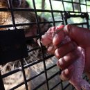 (주)빅키스톤 이미지