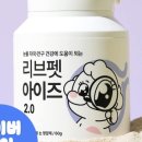 뽀송강아지 이미지