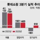 롯데 구조조정 유통업계 신호탄되나 이미지