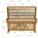 샤론피아노학원 이미지