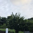 소새울역 3번출구 이미지