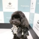 피엔피PC 이미지