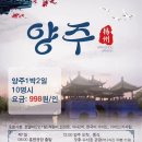 소망투어