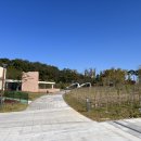 세종동_전월산 무궁화 테마공원 이미지