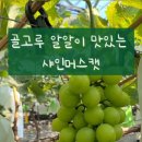 현희농장 이미지