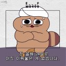 뿔발 이미지