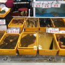 물동이펜션 이미지