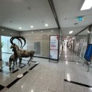 오산시립미술관 이미지