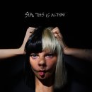 게이 클럽에서 일어난 최악의 총기난사, 시아(Sia) 그리고 댄스 신동 매디 지글러(Maddie Ziegler).Story 이미지