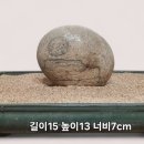월석