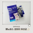 웃는강아지 | <페노비스 강아지 장&amp;면역 종합유산균> 급여후기