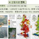 소나무병원 이미지
