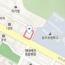 루시나산부인과의원 이미지