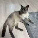 유스동물병원 이미지