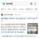 다루 | 당산네일 새해맞이 내성 발톱 페디 다루아네일 후기