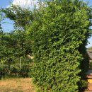 강하작은도서관 이미지