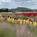 꼬마코끼리가는길 이미지