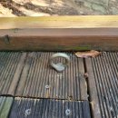 휴리조트캠핑장 이미지