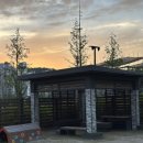멍멍하루 | 경기광주 강아지 산책하기 좋은 곳｜중앙공원 멍멍파크존 후기