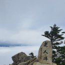 - 5월, 둘이서 천천히 거닐은 오대산 진고개~노인봉(1,338m) 산행 동영상과 그림들 몇 컷! 이미지