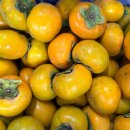 단감상회 이미지