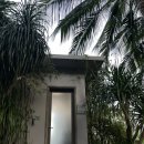 CHA CHA GYM | 나트랑 미아 리조트 : 헬스장 Gym 시설 , 모닝 요가 클래스 비추 후기