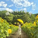 주차장 | 태백 해바라기축제 구와우마을 주차장 입장료 후기