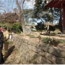 풍암119안전센터 이미지