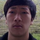 땡벌 이미지