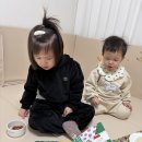 1호터널 | 블루래빗 토끼책방 1호점 후기34개월 아기 반응, 책육아 시작 추천
