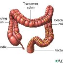 웰빙쇼핑몰 이미지
