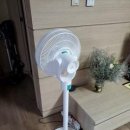 찐메이드