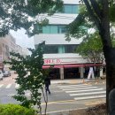 양재천 수변무대1 | [양재] 양재천 카페 거리 I 와인 다이닝 더블디, 비건 브런치 카페 플랫오
