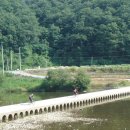 버드나무집 이미지