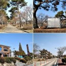 여주 여강길 신륵사 여주박물관. 도서관 영월루 만나는 핵심코스 걷기여정