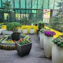 산모건강증진센터 이미지