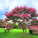 인정세탁소 이미지