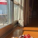 여리오자매 이미지