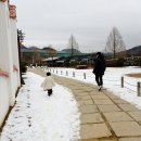 석봉로 | 가평 아이와 실내 갈만한 곳 - 자라섬 이화원 아이와 함께 후기 (feat. 근처 해장국 맛집)