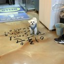 머슬랭PT 이미지