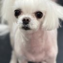 요나헤어