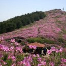 완사모(OK산악회) 5월 제36차 정기산행 안내 이미지