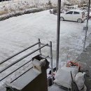 남원흑염소 이미지