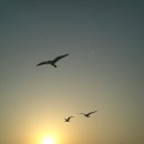 한하레저낚시;한하3호